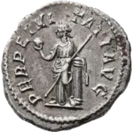 perpetuitas copertina