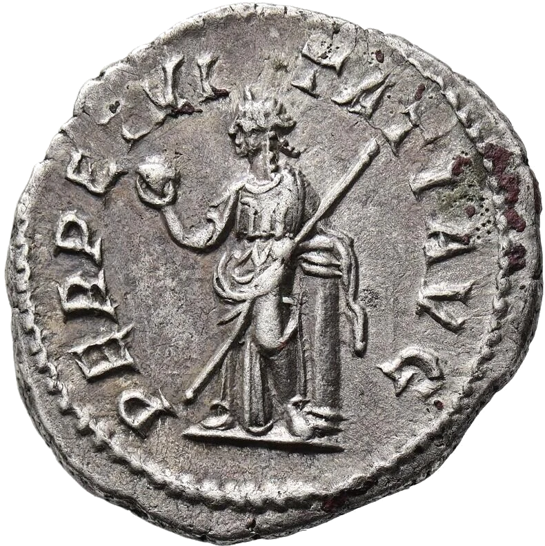 perpetuitas copertina